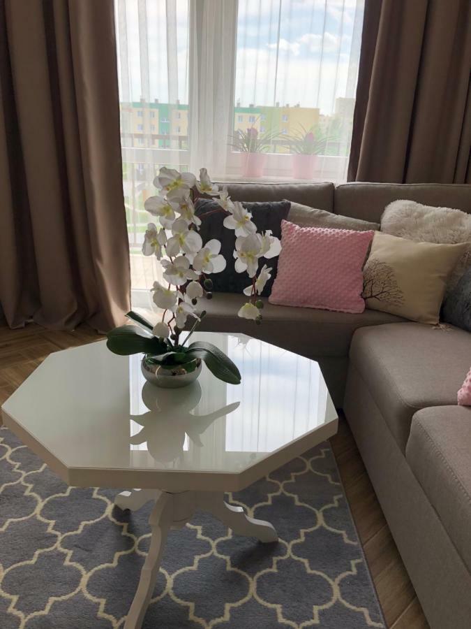 Family & Business Elegant Apartments Ul Warszawska - 2 Bedroom, Balcony, Parking 凯尔采 外观 照片